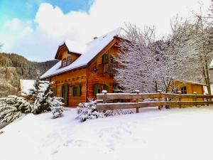 Waldchalet Rinegg im Murtal Chalet Murtal